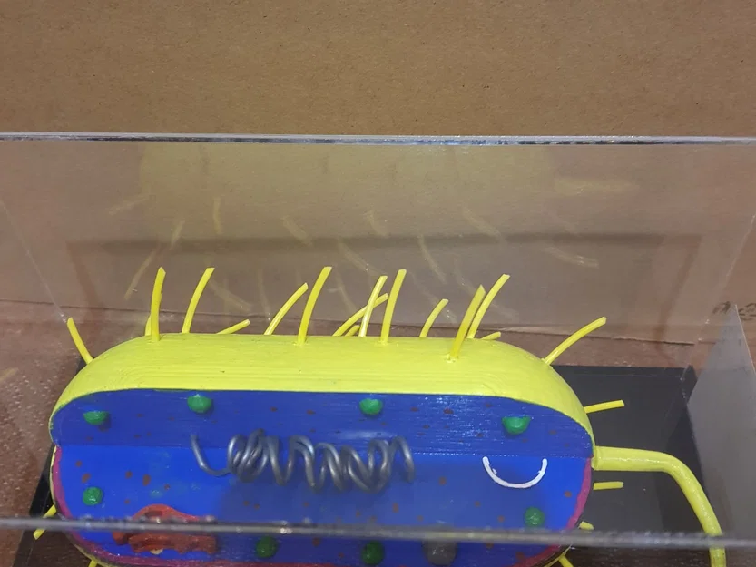 Mô hình 3D Tế bào Vi khuẩn (Bacterial Cell) - Image 3