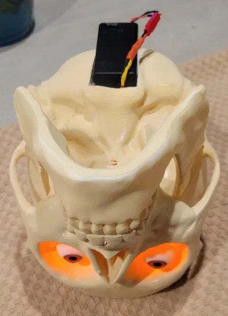 Thùng Đựng Kẹo Sọ Não (Có Thêm Phiên Bản Đèn) - Image 5