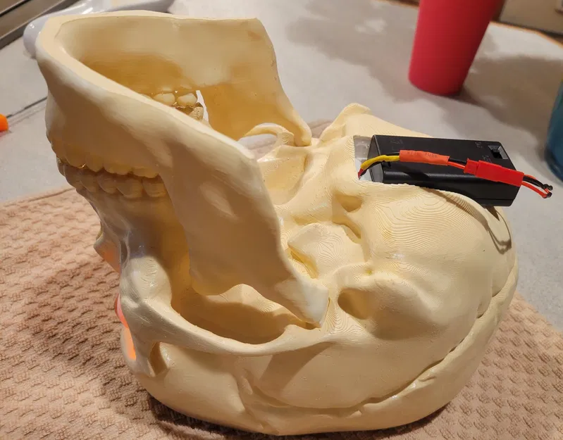 Thùng Đựng Kẹo Sọ Não (Có Thêm Phiên Bản Đèn) - Image 6