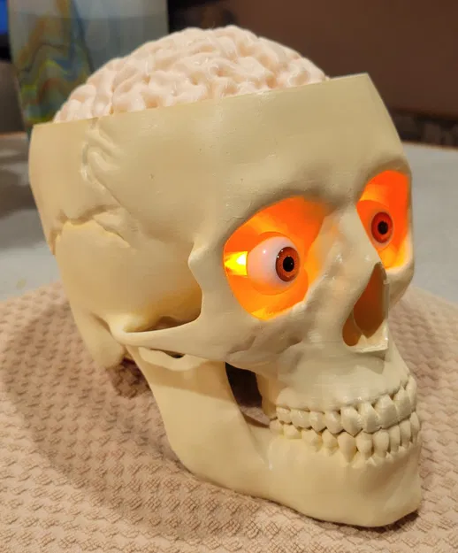 Thùng Đựng Kẹo Sọ Não (Có Thêm Phiên Bản Đèn) - Image 7