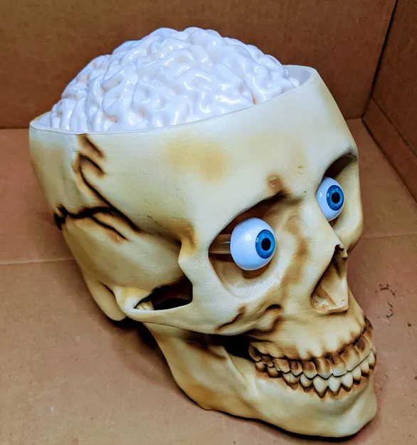 Thùng Đựng Kẹo Sọ Não (Có Thêm Phiên Bản Đèn) - Image 10