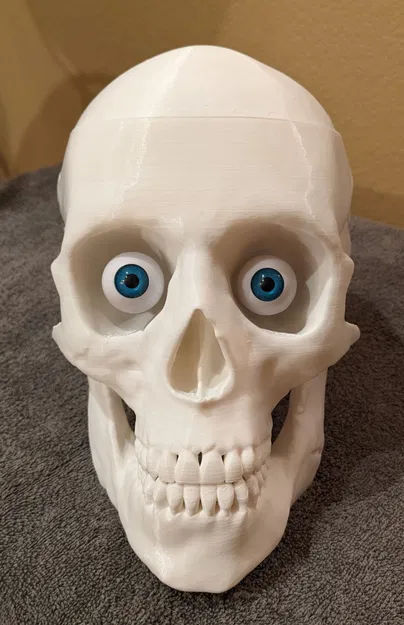 Thùng Đựng Kẹo Sọ Não (Có Thêm Phiên Bản Đèn) - Image 12