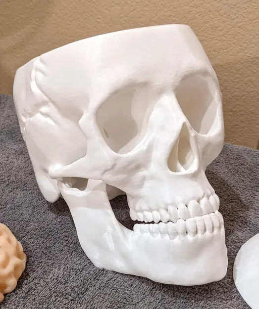 Thùng Đựng Kẹo Sọ Não (Có Thêm Phiên Bản Đèn) - Image 18