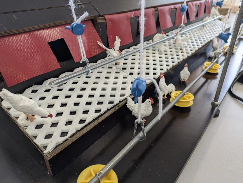 Bộ sưu tập gà - Image 2