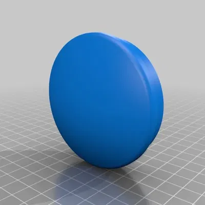 Nắp cho ống Polokal 80mm