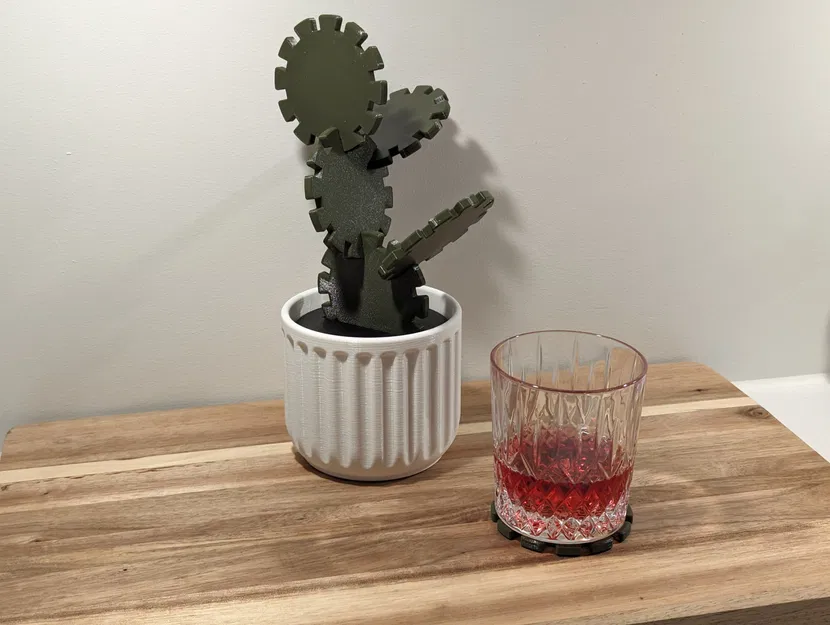 Bộ Đế Lót Ly Xương Rồng - Image 7