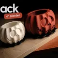 Chậu cây Jack o'planter Halloween độc đáo - Thumbnail 1