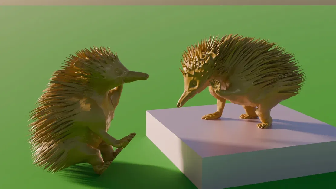 Spiky (Nhím mỏ vịt) đang ngồi - Image 1