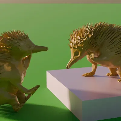 Spiky (Nhím mỏ vịt) đang ngồi