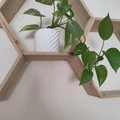 Chậu hoa thanh lịch - Thumbnail 2