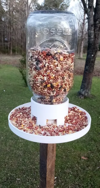 Máng Ăn Chim Lọ Mason - Không Cần Support - Image 1