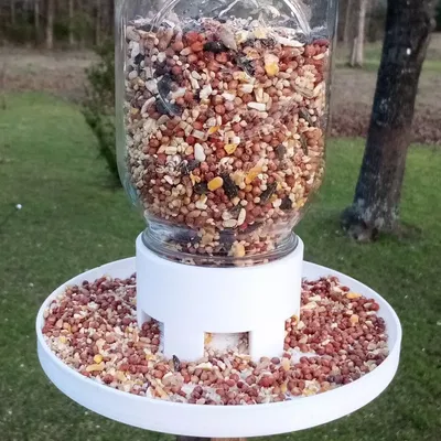 Máng Ăn Chim Lọ Mason - Không Cần Support