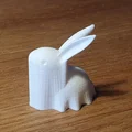 Thỏ được che giấu dưới áo choàng với hình dạng sóng - Thumbnail 2