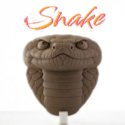 Đầu Rắn – Tác Phẩm Điêu Khắc Treo Tường Sẵn Sàng