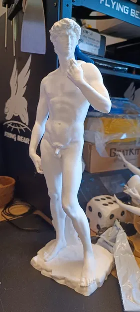 Tượng David của Michelangelo với đế cột Ionic - Image 4