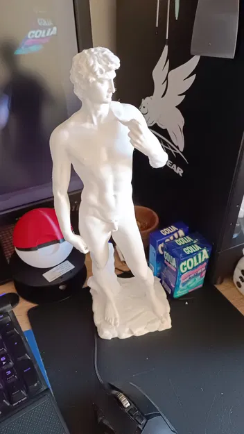 Tượng David của Michelangelo với đế cột Ionic - Image 17