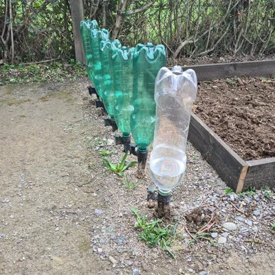 EcoDrip - Ren chai PET PCO28