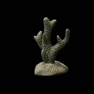 Bộ San Hô - Trang Trí Bể Cá / Terrarium