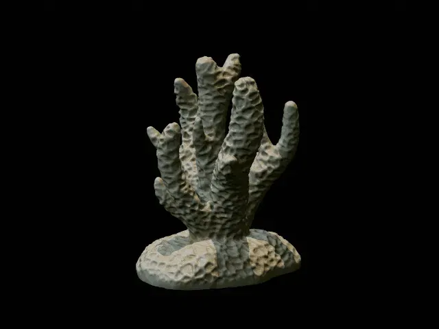 Bộ San Hô - Trang Trí Bể Cá / Terrarium - Image 2