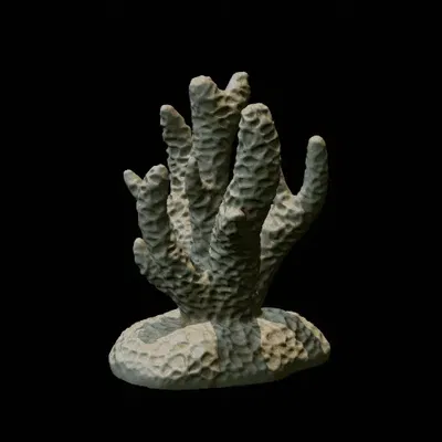 Bộ San Hô - Trang Trí Bể Cá / Terrarium