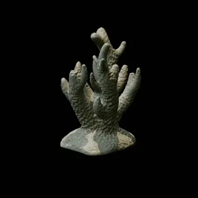 Bộ San Hô - Trang Trí Bể Cá / Terrarium