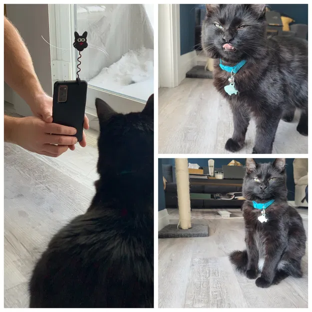 Giá đỡ điện thoại để chụp ảnh thú cưng - Image 1