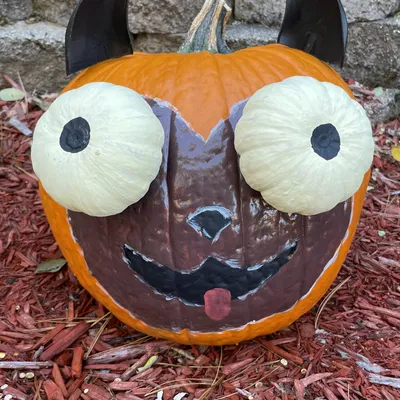 Trang trí bí ngô tai chó Pug hài hước