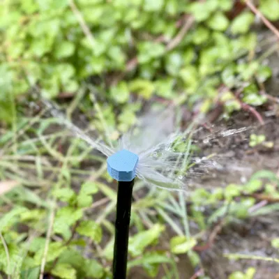 Vòi phun sương vi mô cho tưới cỏ trong vườn