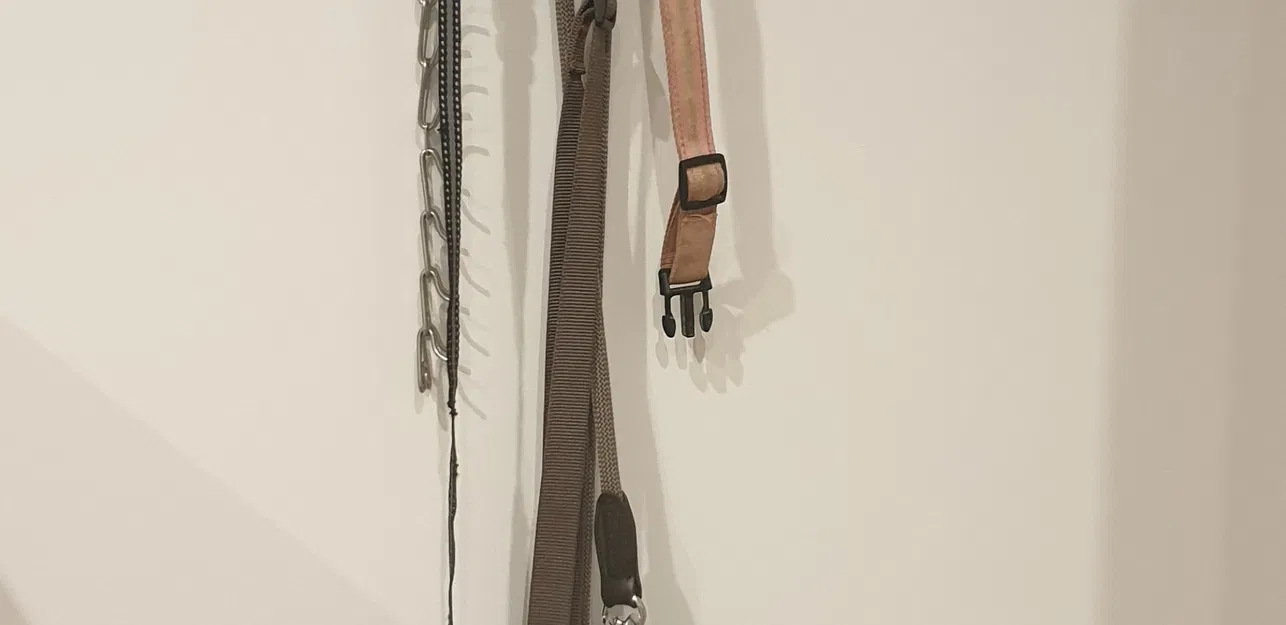 Giá treo tường hình dấu chân chó cho vật dụng thú cưng - Image 4