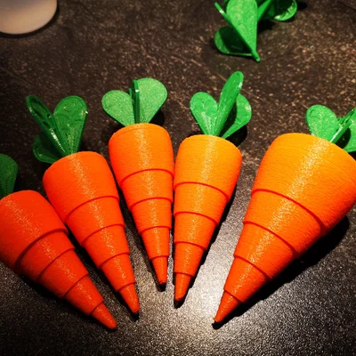 Cà rốt gập lại có lá, hai kích thước khác nhau