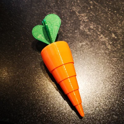 Cà rốt gập lại có lá, hai kích thước khác nhau