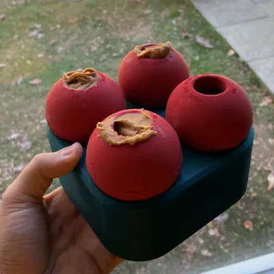 Khay đông lạnh cho đồ chơi chó Kong lớn