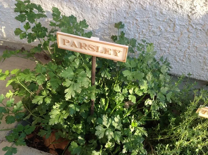 Biển báo làm vườn cho cây gia vị tại nhà - Image 6