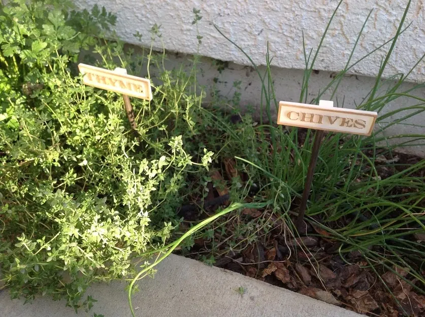 Biển báo làm vườn cho cây gia vị tại nhà - Image 7