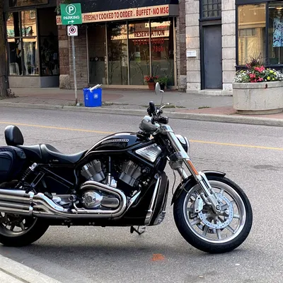 Kẹp nhựa thay thế cho túi Saddle của Harley-Davidson VRod