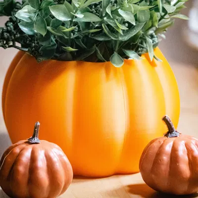 Chậu trồng bí ngô dễ in cho Halloween và mùa thu