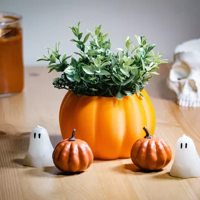 Chậu trồng bí ngô dễ in cho Halloween và mùa thu