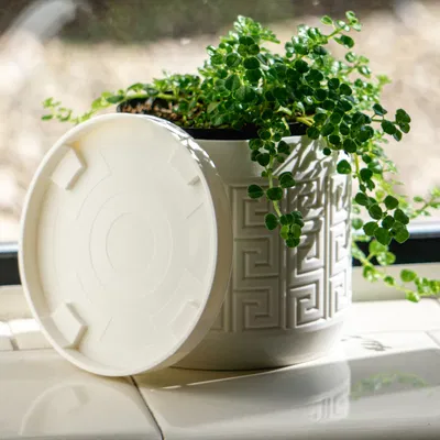 Chậu cây họa tiết Aztec có lỗ thoát nước và khay nhỏ giọt