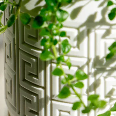 Chậu cây họa tiết Aztec có lỗ thoát nước và khay nhỏ giọt