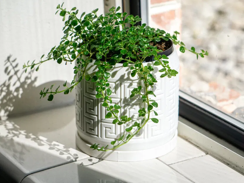 Chậu cây họa tiết Aztec có lỗ thoát nước và khay nhỏ giọt - Image 6