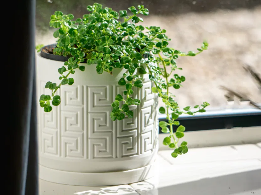 Chậu cây họa tiết Aztec có lỗ thoát nước và khay nhỏ giọt - Image 8