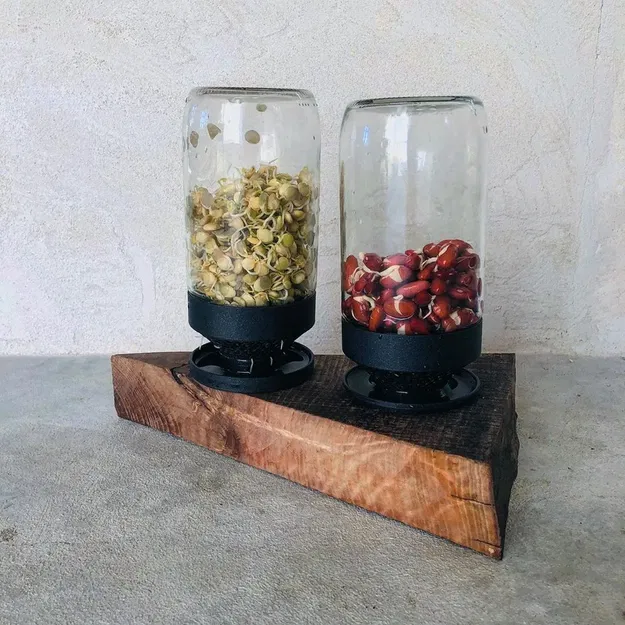 Lọc nước cho bình trồng giá đỗ tiện lợi một khối - Image 1