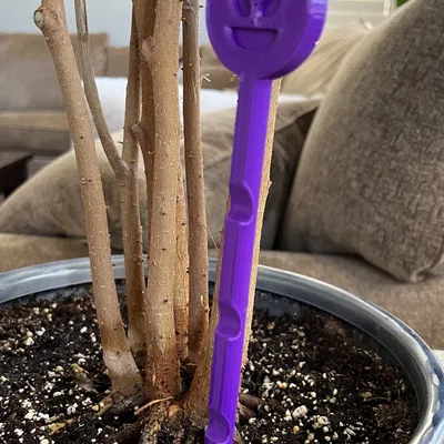 Cảm biến độ ẩm đất cho chậu cây trong nhà