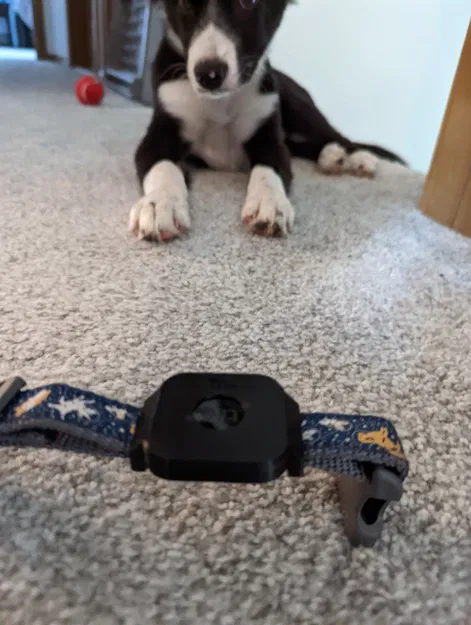 Phụ kiện gắn Tile Mate cho vòng cổ chó - Image 1