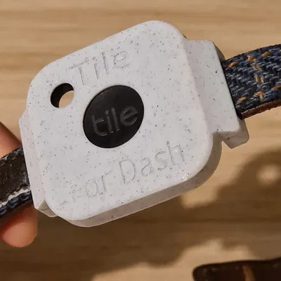 Dây đeo cổ cho chó Tile Mate (2022) với thiết bị theo dõi