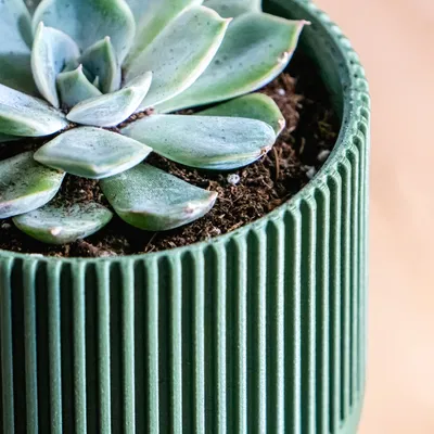 Chậu cây hình đồng hồ cát phong cách hiện đại giữa thế kỷ