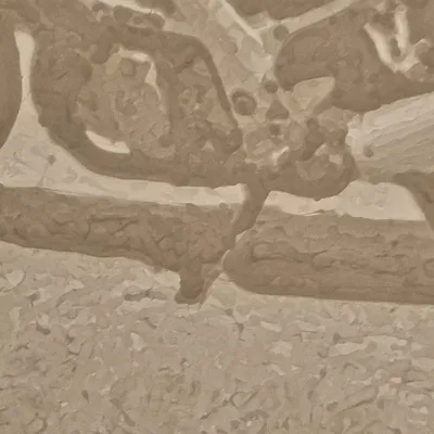 Mô hình lithophane xe máy Suzuki SV1000N năm 2006