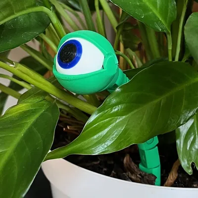 Nhân vật Eyegor - Mắt hoạt hình có thể chơi mọi nơi