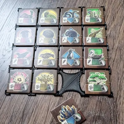 Hộp tổ chức cho phiên bản Collector's Edition của Darwin's Journey