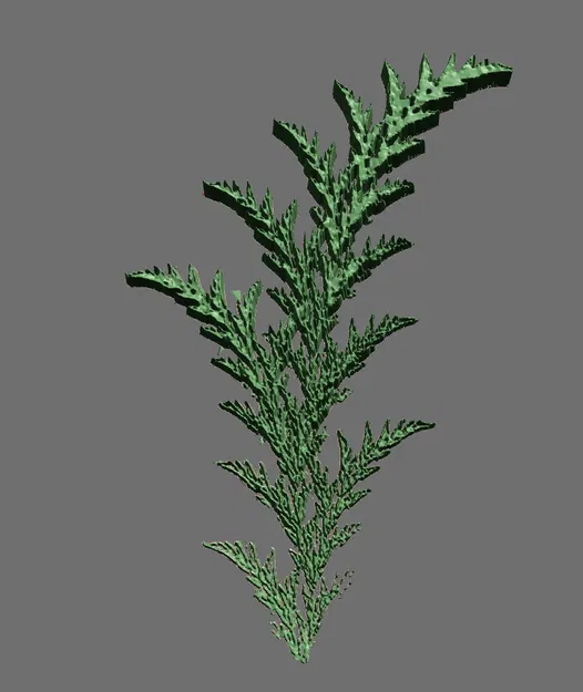 Cây dương xỉ fractal từ video chó điên rồ - Image 3